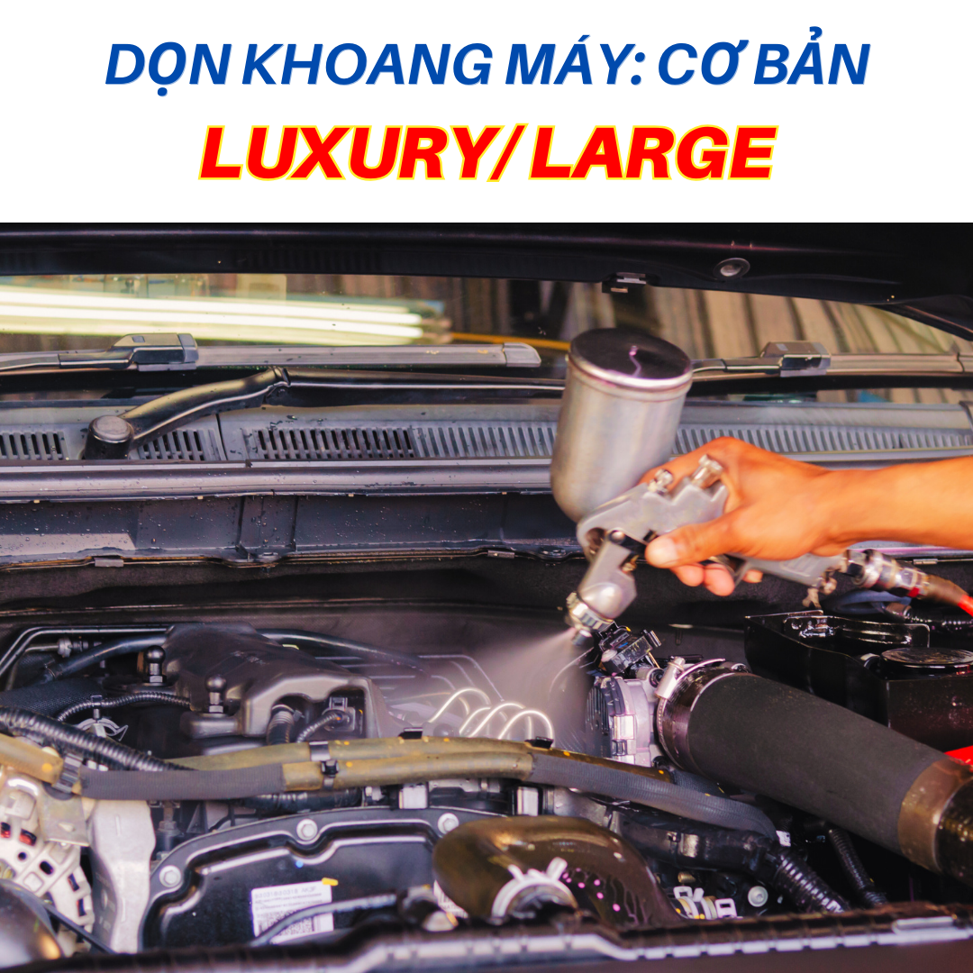 VỆ SINH KHOANG MÁY LUXURY/LARGE: CƠ BẢN                     